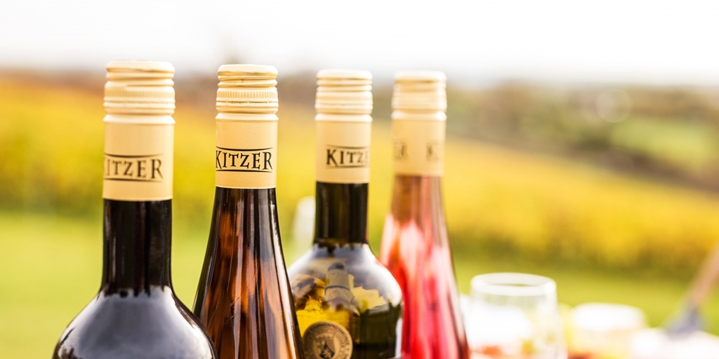 Kitzer Weine Landschaft cut min